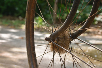 bicycle spoke detail isolated background. Used motion blurr for simulated motion wheel.