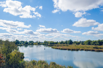 Obraz premium Beautiful summer landscape with a river and blue sky.