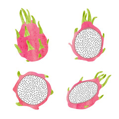Dragon fruit vector set. Watercolor illustration.