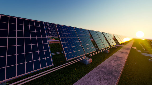 Sunset in the Cloudless Sky Above Solar Panels 3D Rendering
