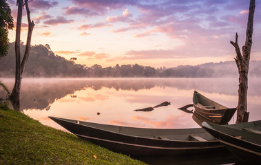 View of a wooden boats and big dry tree growing on Lake Nyabikere, with and the reflections on the...