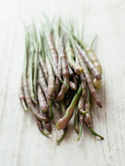 Rat-tail radish pods