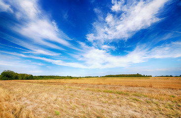 Beautiful cloudy sky over summer fields