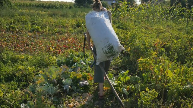 The girl is carrying a bag of grass and a scythe around the garden. Beautiful landscape. Work in the field. Real rural woman.
