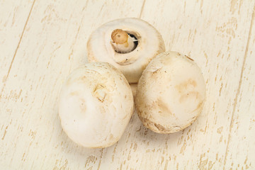Raw Champignon heap for cooking