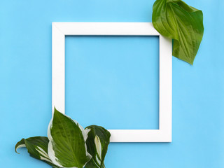 Minimal creative composition - square white frame with green leaves on blue background. Flat lay, top view, copy space