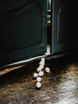 Row of white eggs on wooden floor