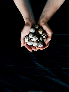 Handful of quail eggs
