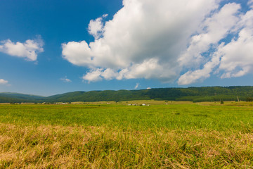 Obraz premium The plateau of Cansiglio in Italy