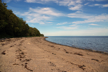 Road trip sur la route des baleines, Québec