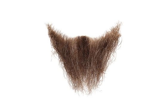Disheveled brown beard isolated on white. Mens fashion