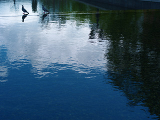 구름.반영.배경.여름.수산물,청정.상수원.수도물.생수.음료.