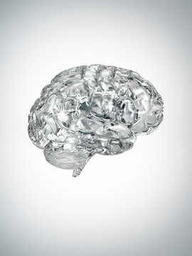 Brain made of glass