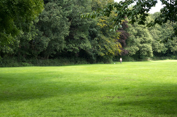 Distant figure walking a dog on a field