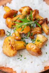 italienisches Risotto mit Pfifferlingen auf Holz