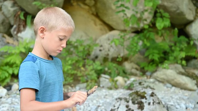 6 years old young boy at the campsite focusing on to carving a wooden stick for the grill with a small pocket knife