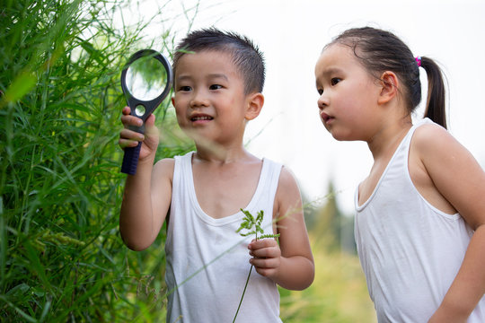 Two kids using magnifier looking insects outdoor