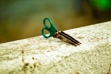 scissors for chopping fishing tips on a feeder