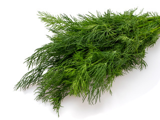Green young dill. A bunch of close-ups. Spice, seasoning, ingredient.