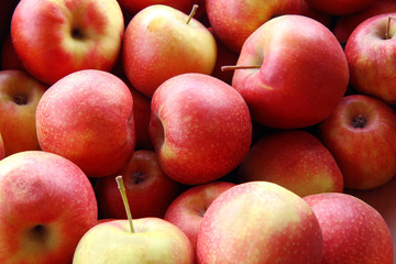 red apples on black background