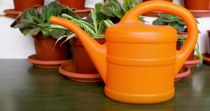 Sliding from right to left along orange garden watering can who is stand front of pots with flowers