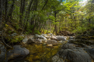 Arroyo Lali