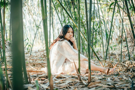 portrait of fashion Asian woman in bamboo forest