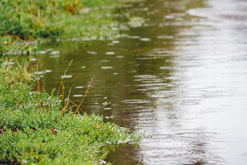 Puddle with tree reflection in the rain. Rainy day. It's raining, it's rainy weather_