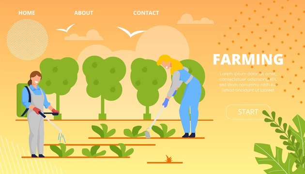 Flat Banner Modern Crop Farming Landing Page. 