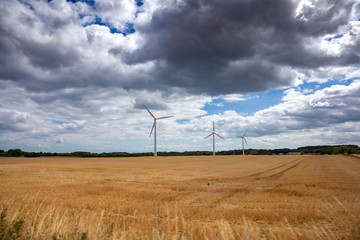 Fototapeta na wymiar Wind turbines in field in Denmark