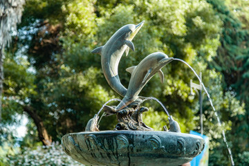 dolphin statue with water in nature