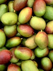 fresh fruit Mangoes flatley top view