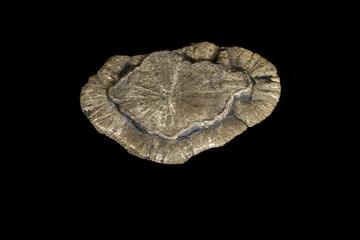 Macro mineral stone Pyrite on a black background