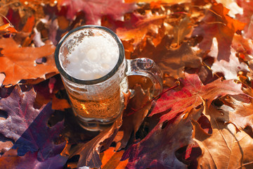 Glass of beer surrounded by bright red autumn leaves.