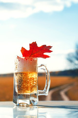 Glass of beer and a bright red autumn leaf against the background of the blue sky on the autumn...