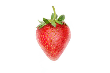 Strawberry closeup isolated on white background