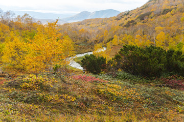 River in mountains. Beautiful autumn landscape in Kamchatka near Vachkazhetz volcano
