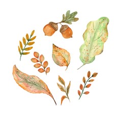 Watercolor autumn leaves. Hand-drawn watercolor paints. It can be used in design and printing.