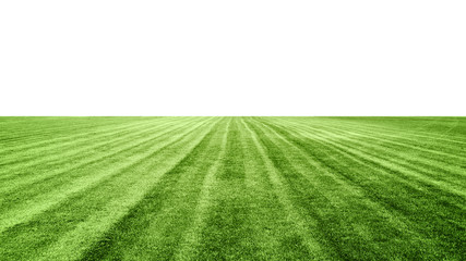 stadium grass on white background