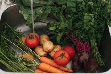 vegetables in the kitchen sink