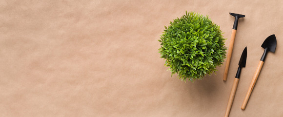 Plants transplantation. Gardening tools on craft paper