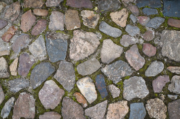 Full frame image of multicolored granite cobblestone with green moss between stones. Top view of the urban paved sidewalk. High resolution texture or background