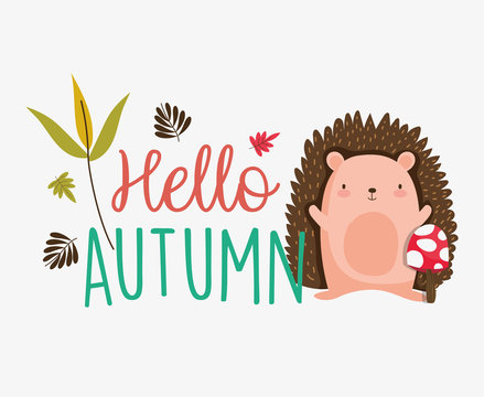 hello autumn season flat design