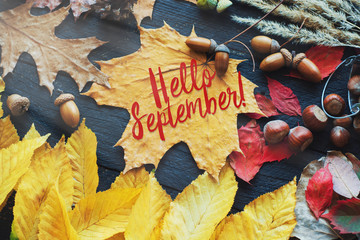 hello September card, Autumn composition from leaf, vintage style