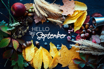 hello September card, Autumn composition from leaf, vintage style