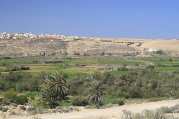 paysage marocain