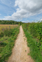 Fototapeta na wymiar Long straight country path on a summers day leading to the woods in East Anglia in England
