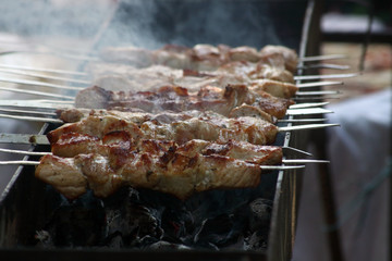 shashlik on charcoal grill close up
