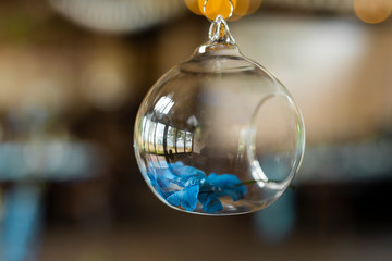 accessory for room decor glass vessel suspended from the ceiling