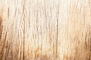 The Old wood peel light texture. Grunge abstract background.